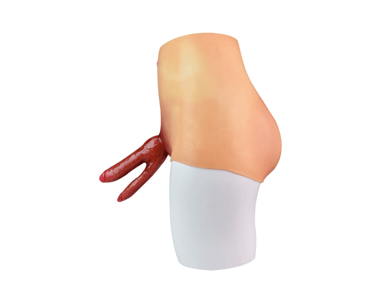 WATCH VIDEO, Wearable Double-Headed Realistic Dildo Skin Touch Strap O Safystyle WATCH VIDEO, Wearable Double-Headed Realistic Dildo Skin Touch Strap O Safystyle
