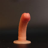 6.2 Inch Realistic Soft Dildo
